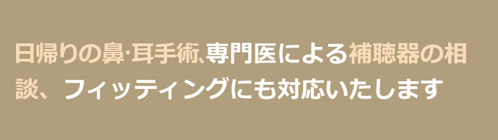 日帰りの耳手術、専門医による補聴器の相談、フィッティングにも対応いたします
