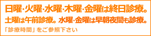 日曜・水曜・木曜は終日診療。月曜・水曜・金曜は早朝夜間も診療。
